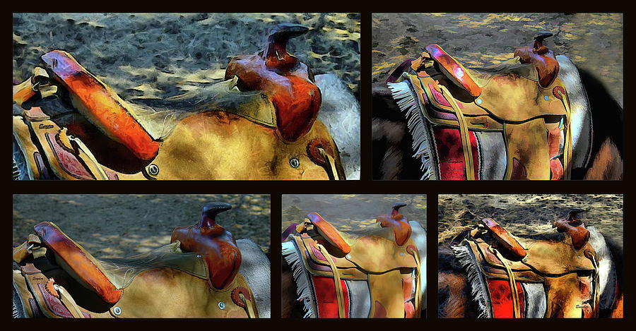 Five Saddle Montage  Photograph by Floyd Snyder