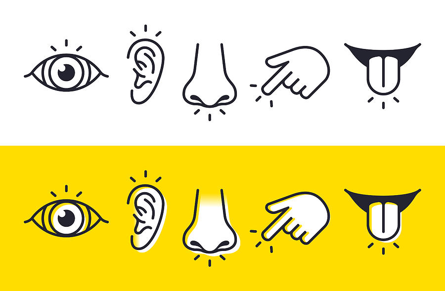 Five Senses Sight Hearing Smell Touch Taste Icons and Symbols Drawing by Filo Five Senses Sight Hearing Smell Touch Taste Icons and Symbols Drawing by Filo