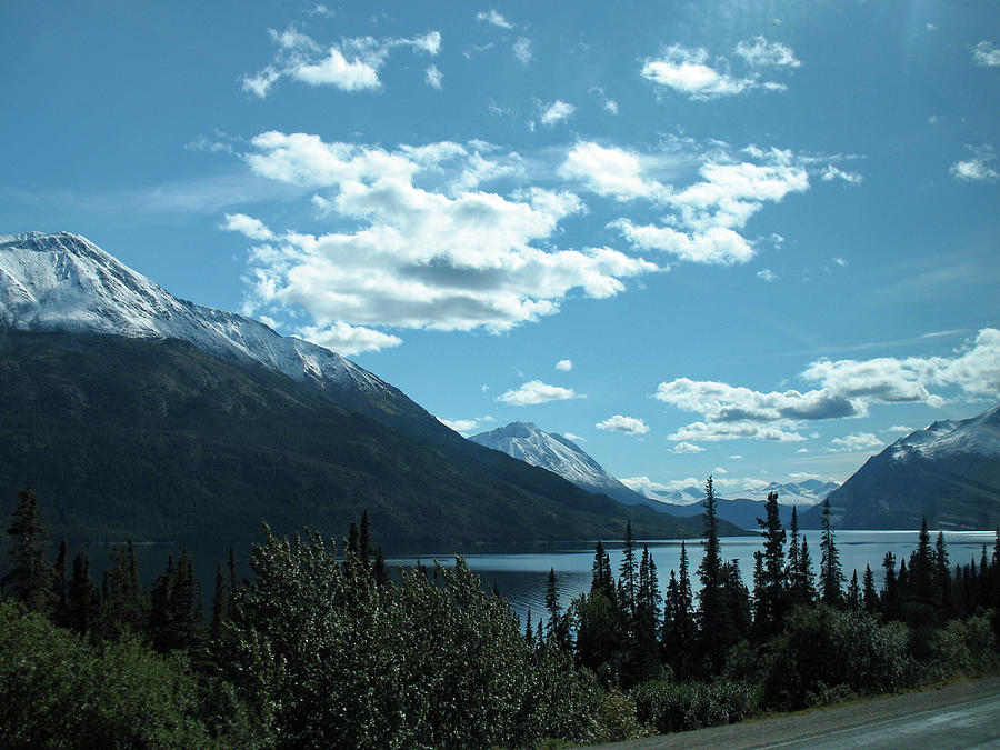 Five Star Scenery in Yukon Photograph by Connie Fox