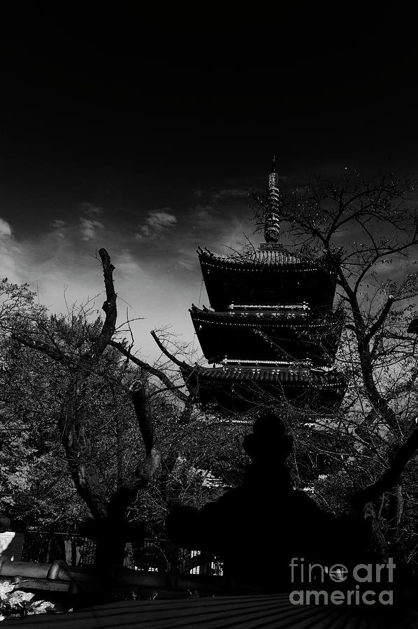 five Storey pagoda Tokyo Photograph by Win Naing