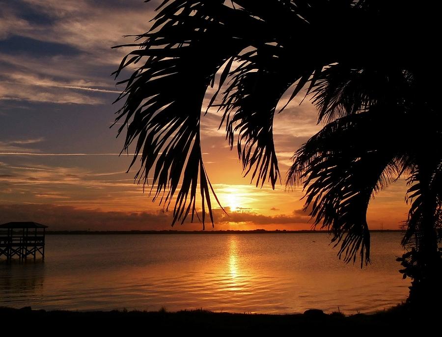 FL Sunset Photograph by Elaine Franklin