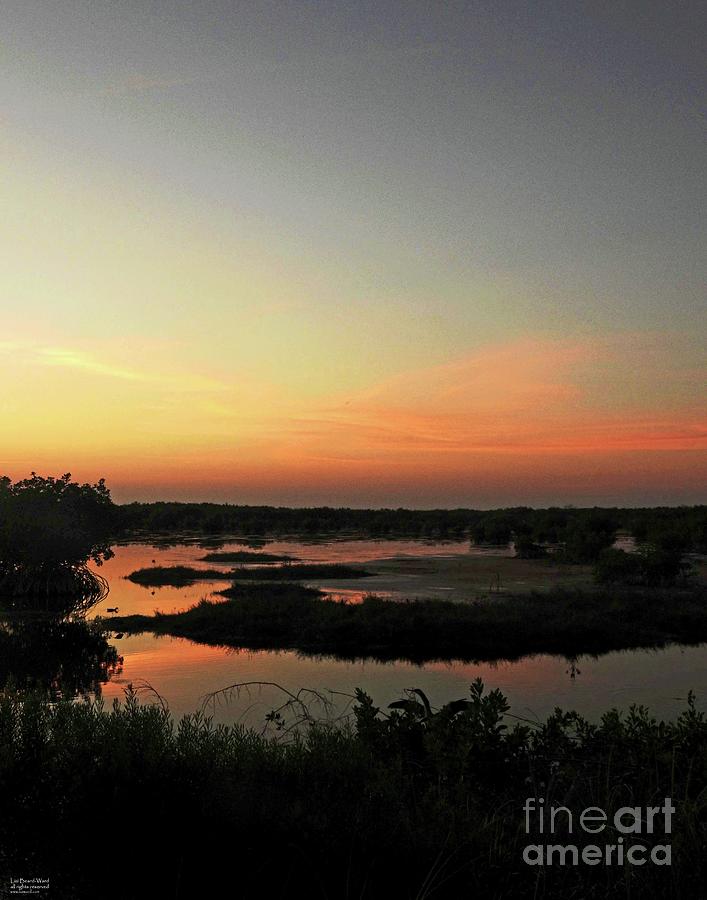 fl248  Sundown on the Marsh Photograph by Lizi Beard-Ward