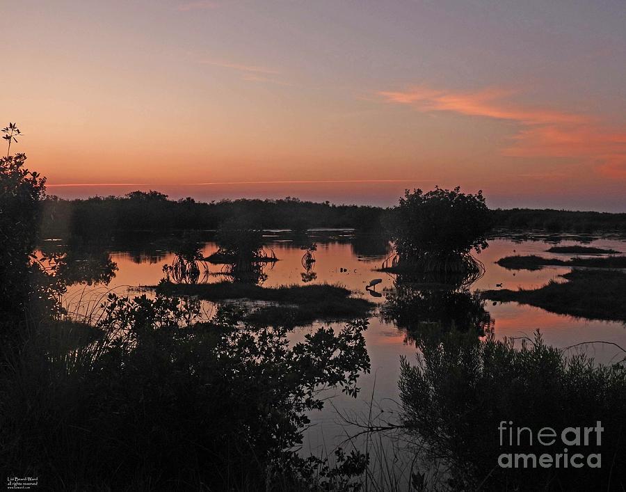 fl249 Marsh Sundown Photograph by Lizi Beard-Ward