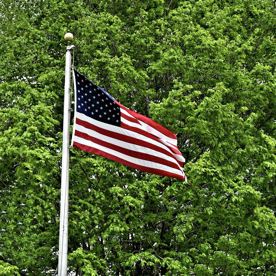 Flag Day USA Photograph by Kathy K McClellan