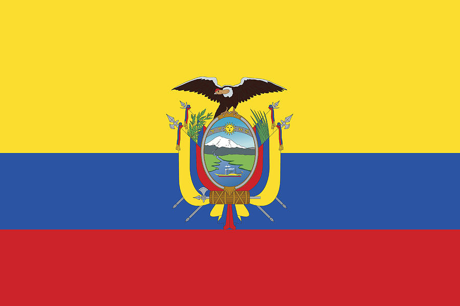 Flag Ecuador Drawing by Kosmozoo