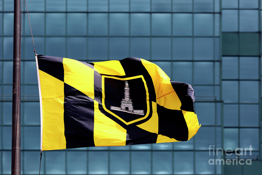 Flag of Baltimore Photograph by James Brunker