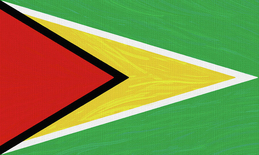 Flag of Guyana ,  County Flag Painting ca 2020 by Ahmet Asar Digital Art by Celestial Images