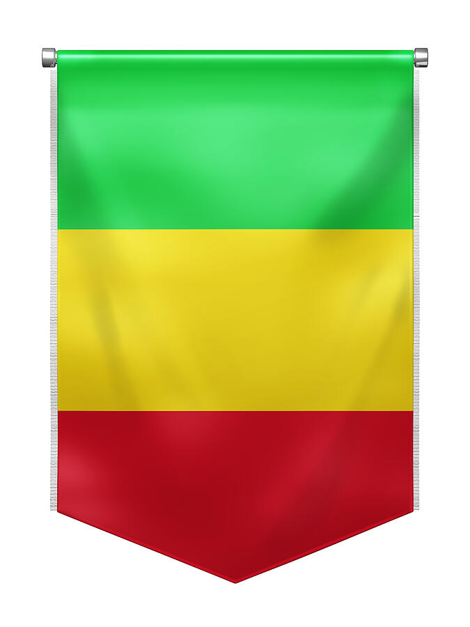 Flag of Mali Photograph by Backtasan1