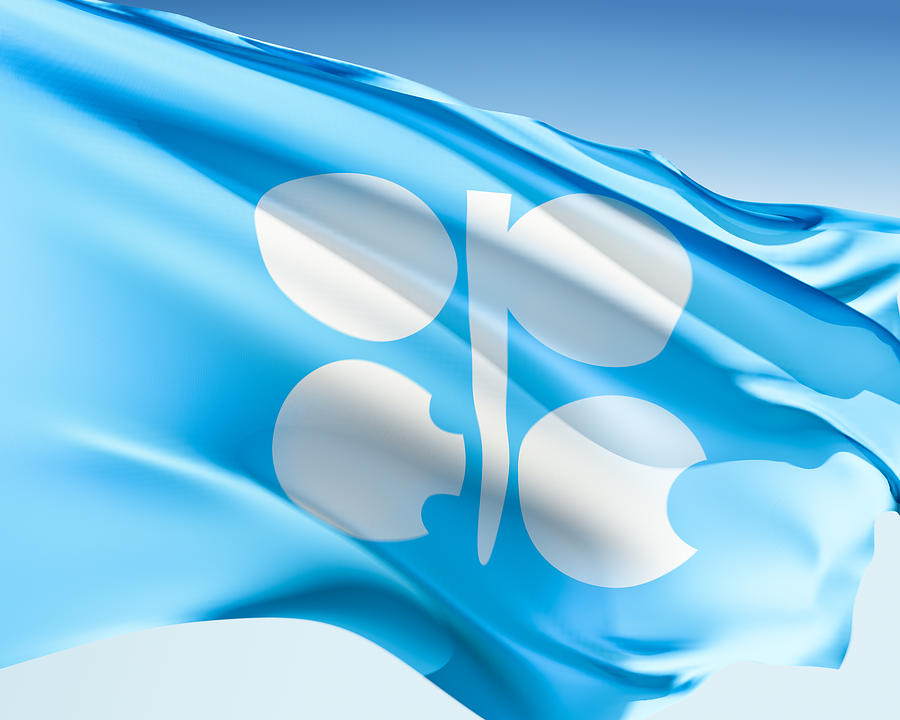 Flag of OPEC Photograph by Bkindler