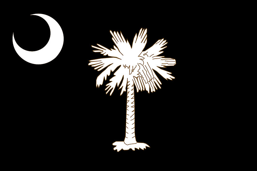 Flag of South Carolina Digital Art by Jon Baran