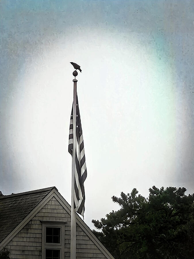 Flag Pole Sitter Photograph