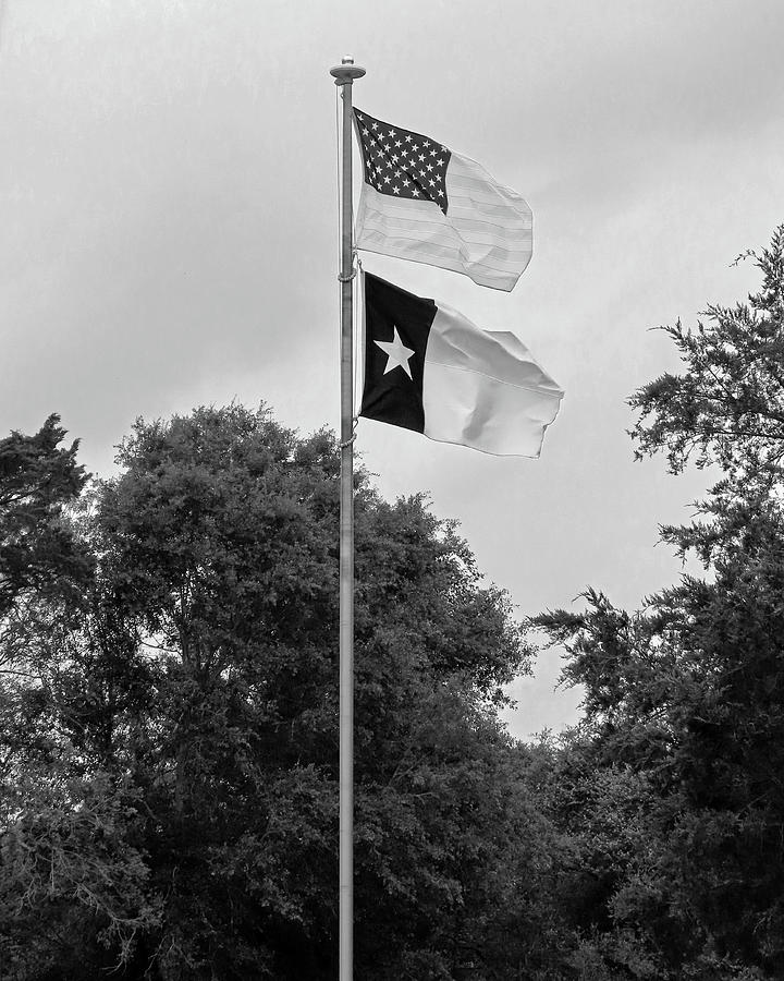 Flags Flying High BW Photograph by Connie Fox