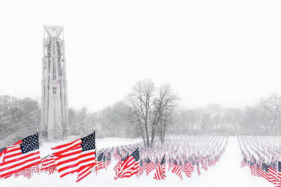 Naperville Photograph - Flags in the Winter by Andrew Soundarajan