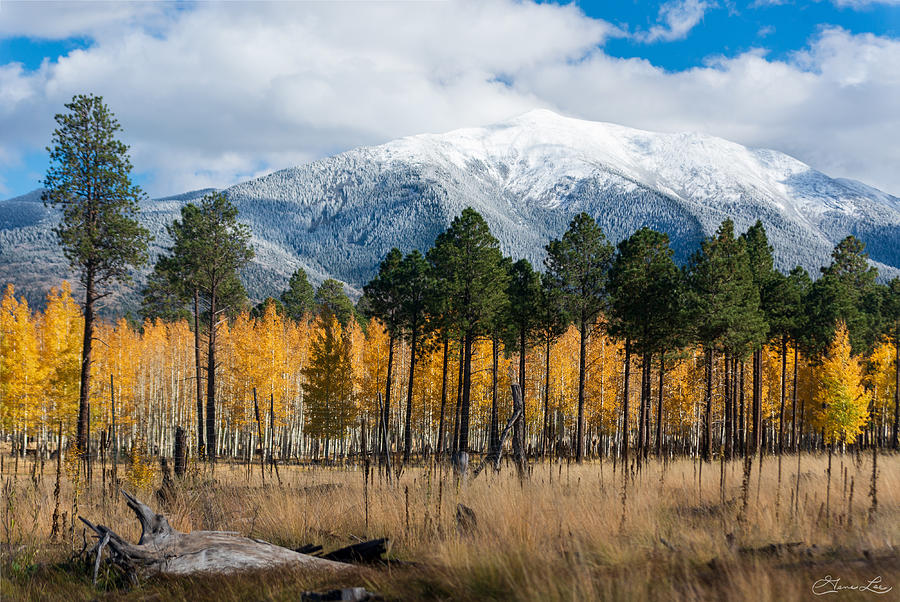 Flagstaff Arizona in the Fall Photograph by Gene Lee Flagstaff Arizona in the Fall Photograph by Gene Lee