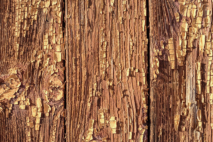 Flaking Brown Paint on Wood Texture Photograph by John Williams