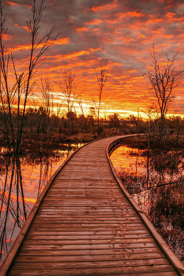 Flames Of Sunrise At Osage Park - Northwest Arkansas Photograph by Gregory Ballos