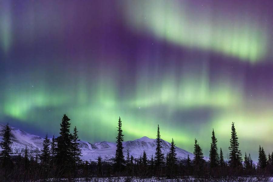 Flaming Aurora - Alaska Photograph by Alex Mironyuk