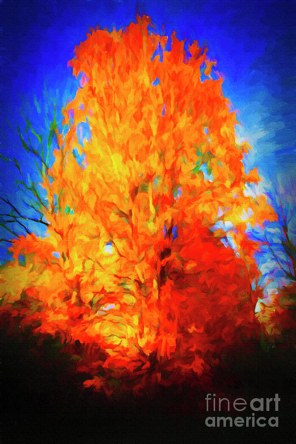 Flaming autumn tree Digital Art by Birgitta Astrand