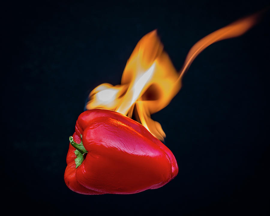 Vegetable Photograph - Flaming Red Bell Pepper by Patti Deters