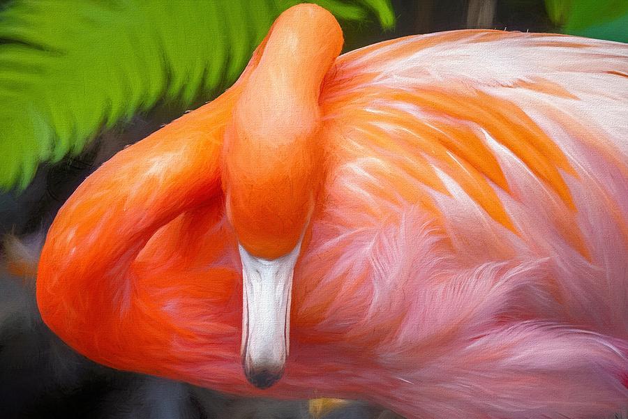 Flamingo Beauty Photograph by Susan Rydberg