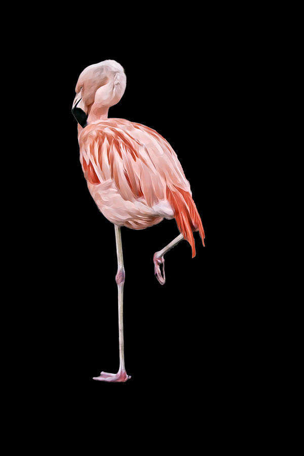 Flamingo Bird on One Leg Digital Art Illustration Photograph by Gaby Ethington