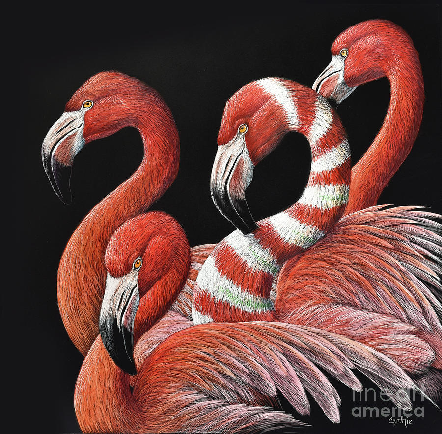 Flamingo Drawing by Cynthie Fisher