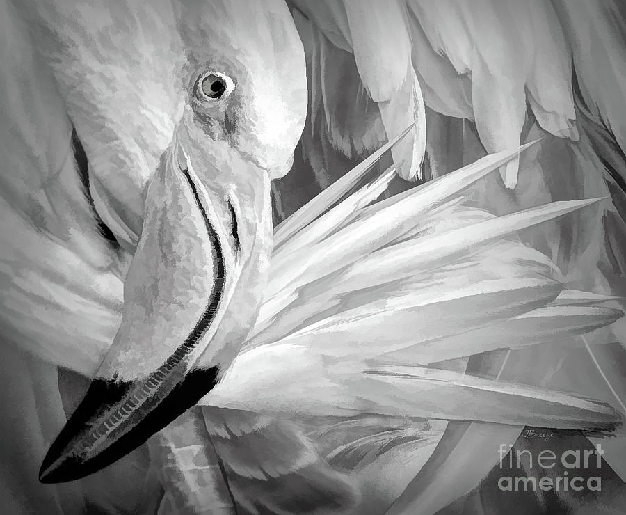 Flamingo-Go Digital Art by Jennie Breeze