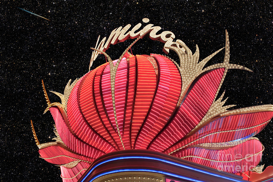 Flamingo Hotel and Casino Neon Lights Photograph by David Zanzinger