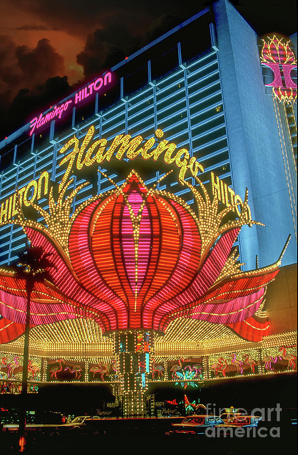 Flamingo Hilton Las Vegas Photograph by David Zanzinger
