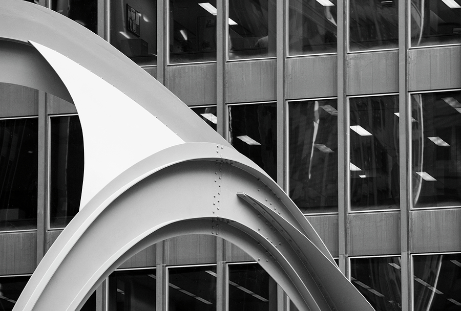 Flamingo in the City BW Photograph by Christi Kraft