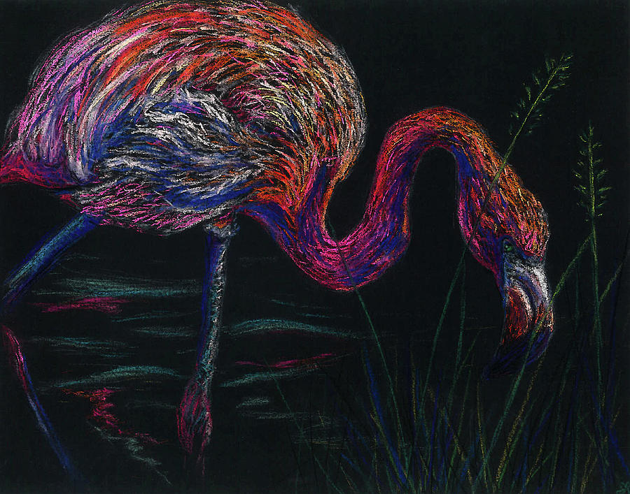 Flamingo Drawing