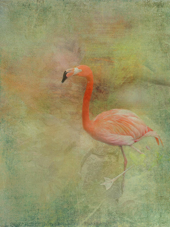 Flamingo Lagoon 1 Photograph by Jill Love