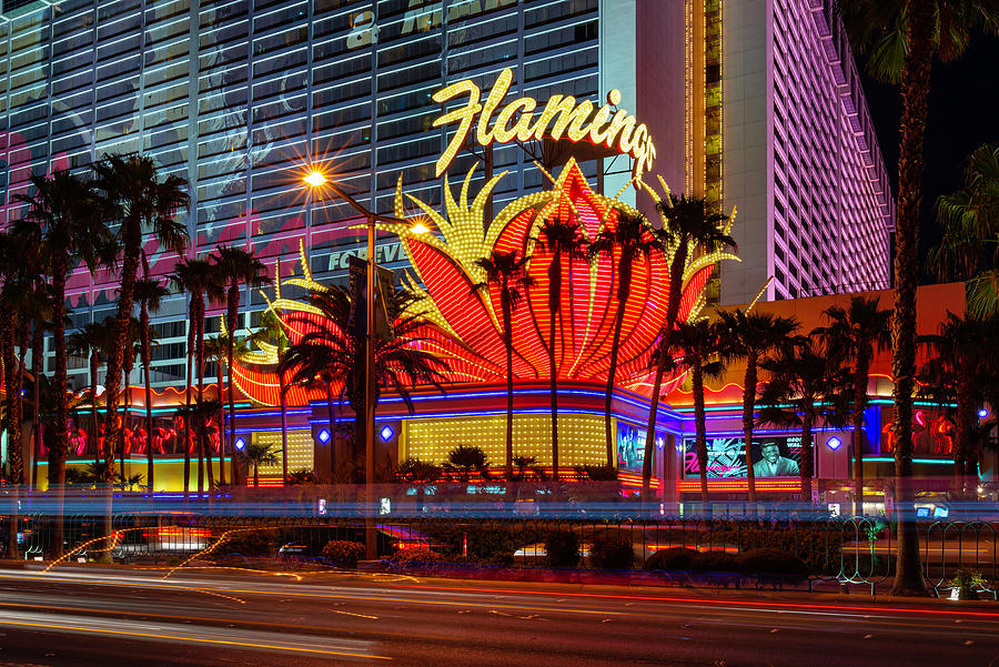 Flamingo Photograph - Flamingo Las Vegas Hotel and Casino by Clint Buhler