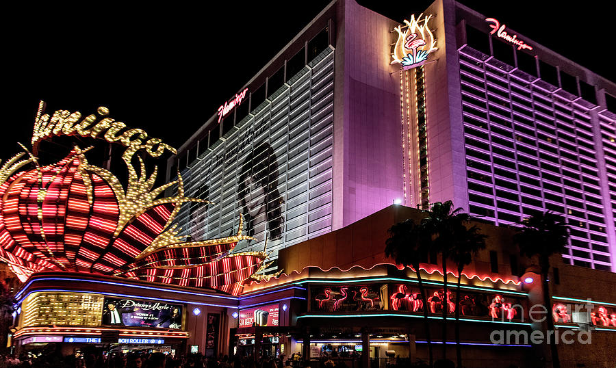 Flamingo Las Vegas Hotel and Casino in Las Vegas Nevada Photograph by David Oppenheimer