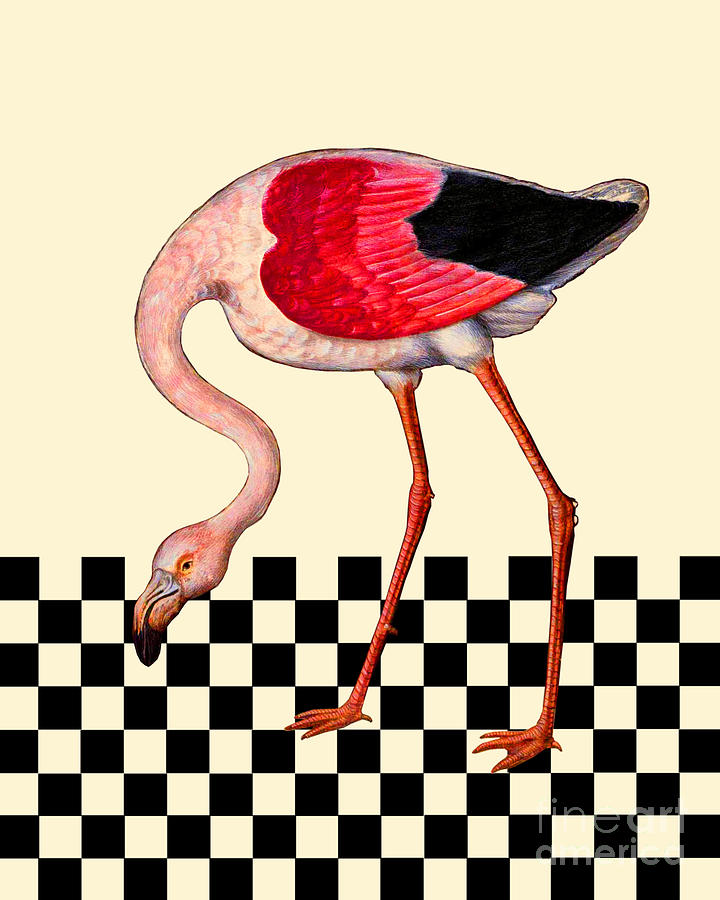 Flamingo Digital Art - Flamingo On Checker Pattern by Madame Memento