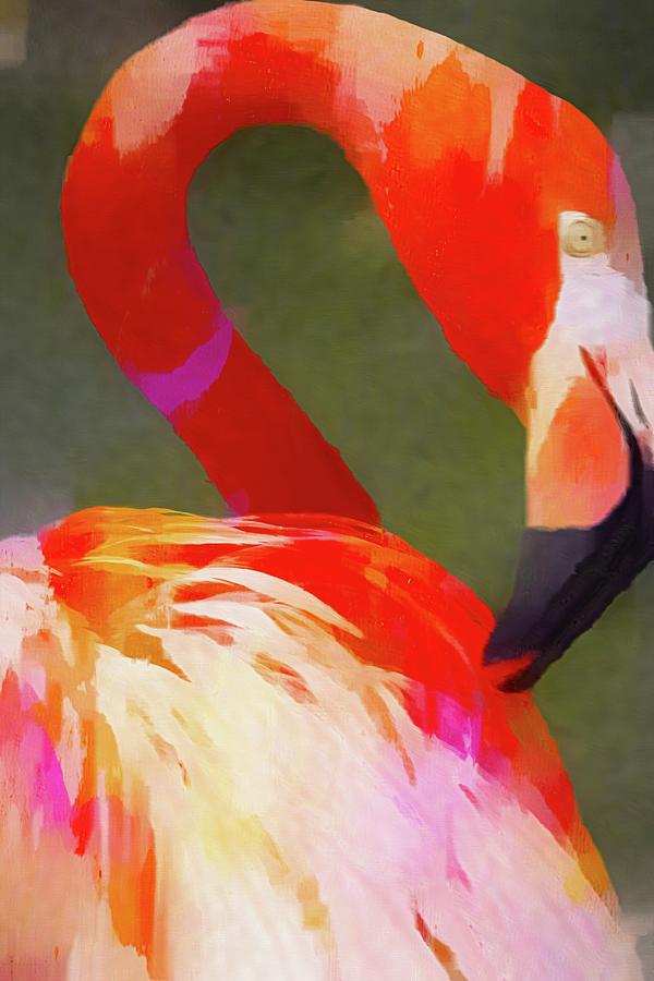Flamingo Pink Photograph by Alice Gipson
