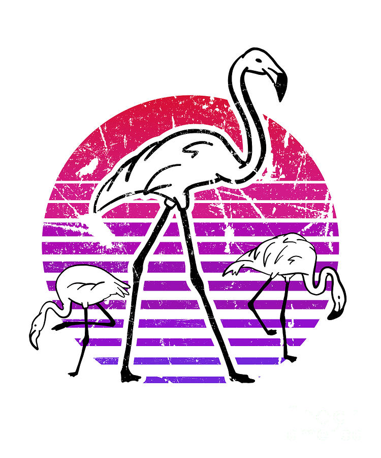 https://images.fineartamerica.com/images/artworkimages/mediumlarge/3/flamingo-pink-vintage-retro-animal-lover-crazy-cool-marco-rothe.jpg