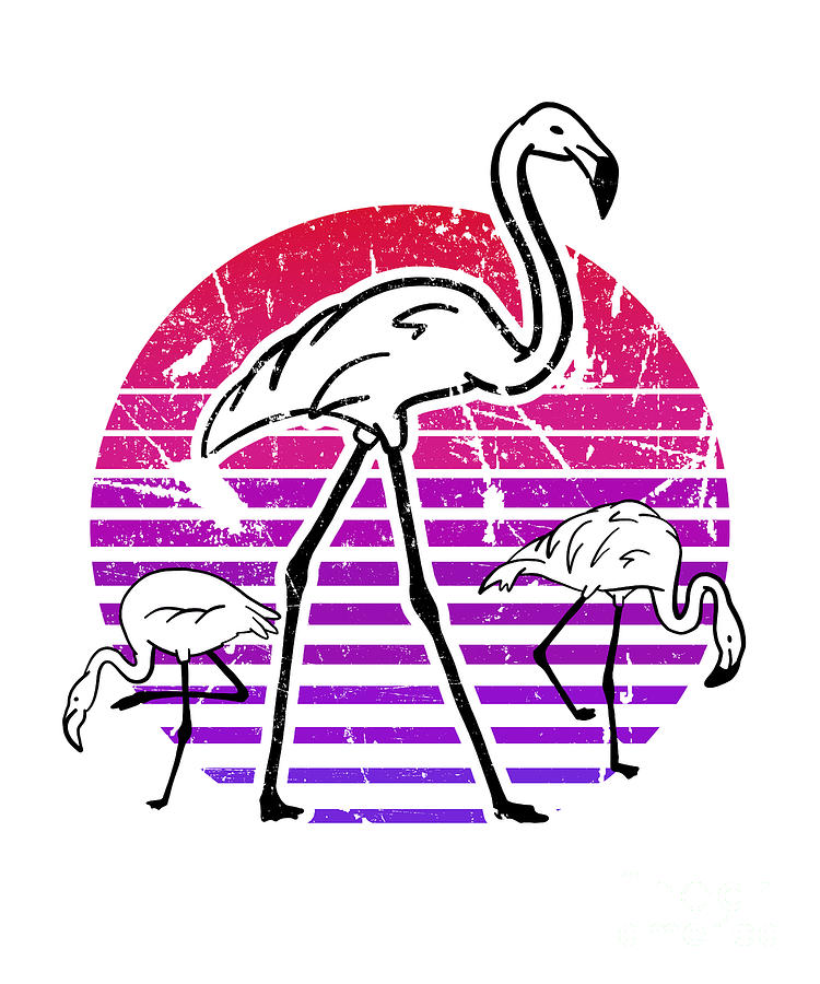 Cool Flamingo