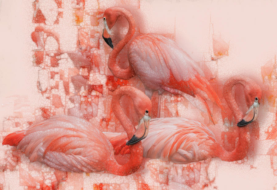 Flamingo Rest Painting by Jack Zulli