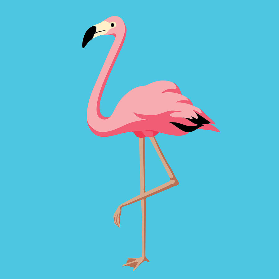 Flamingo Drawing by Saemilee