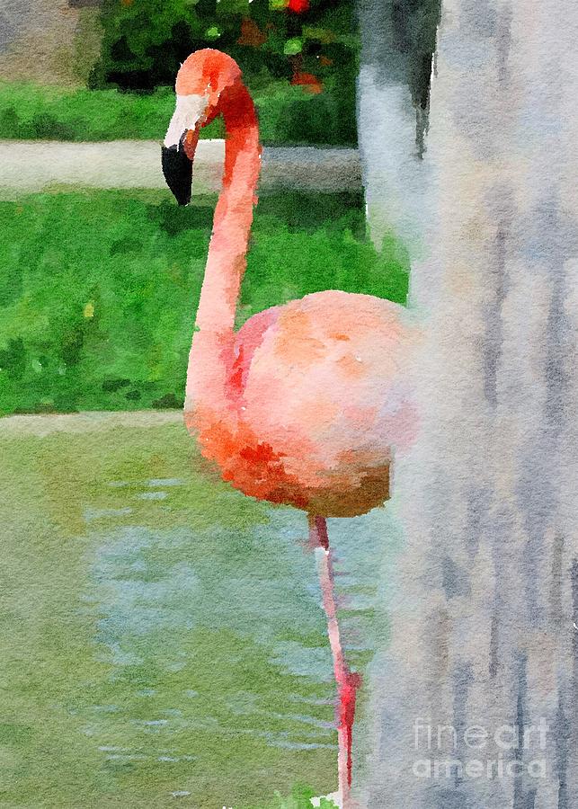 Flamingo watercolor Photograph by Theresa D Williams