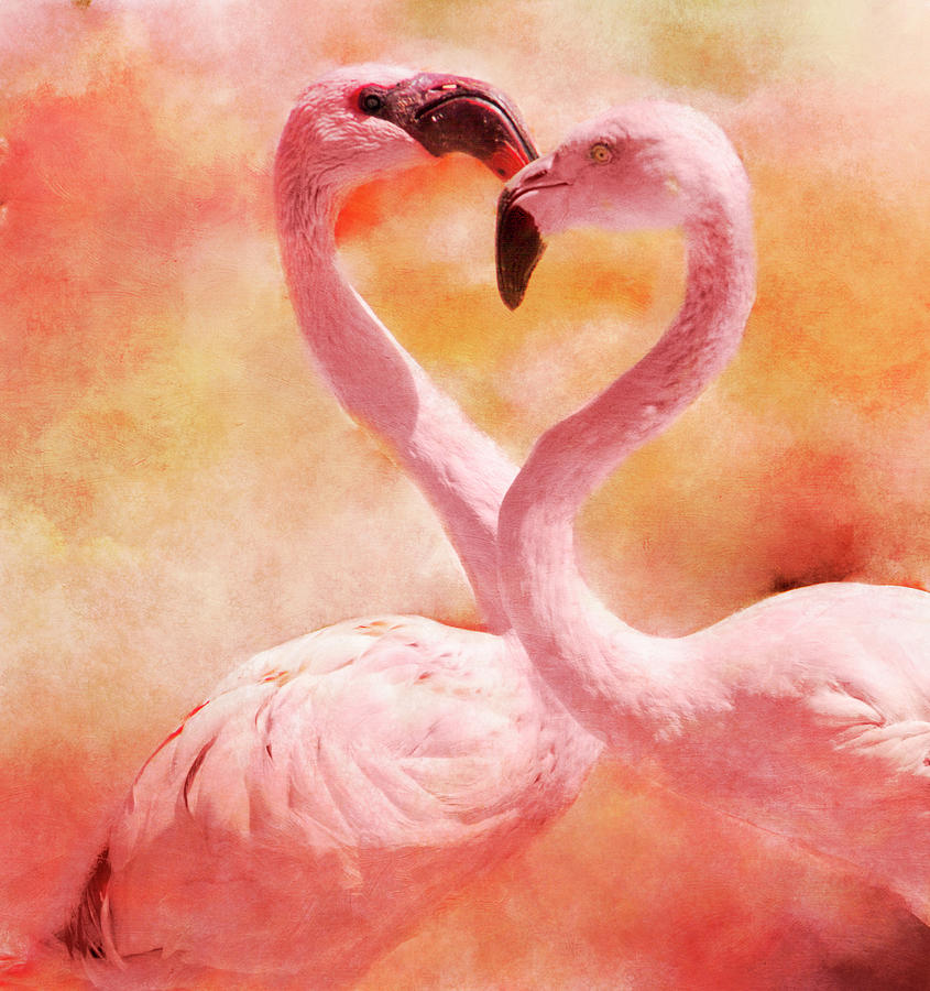 Flamingos Digital Art by Amy Curtis