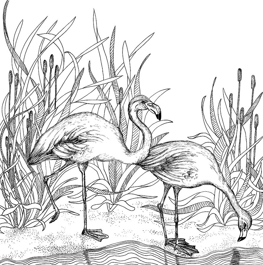 Flamingos Drawing