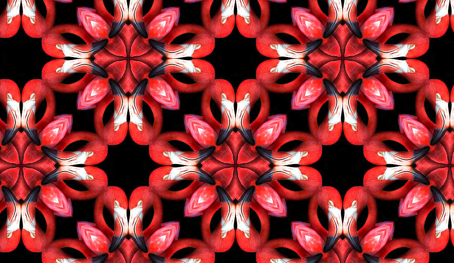 Flamingos, kaleidoscope pattern. Photograph by Gina Pricope