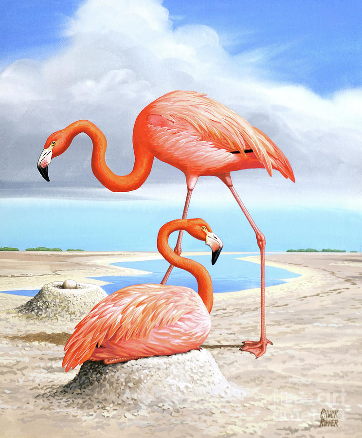 Flamingos On River Beach Painting by Chuck Ripper