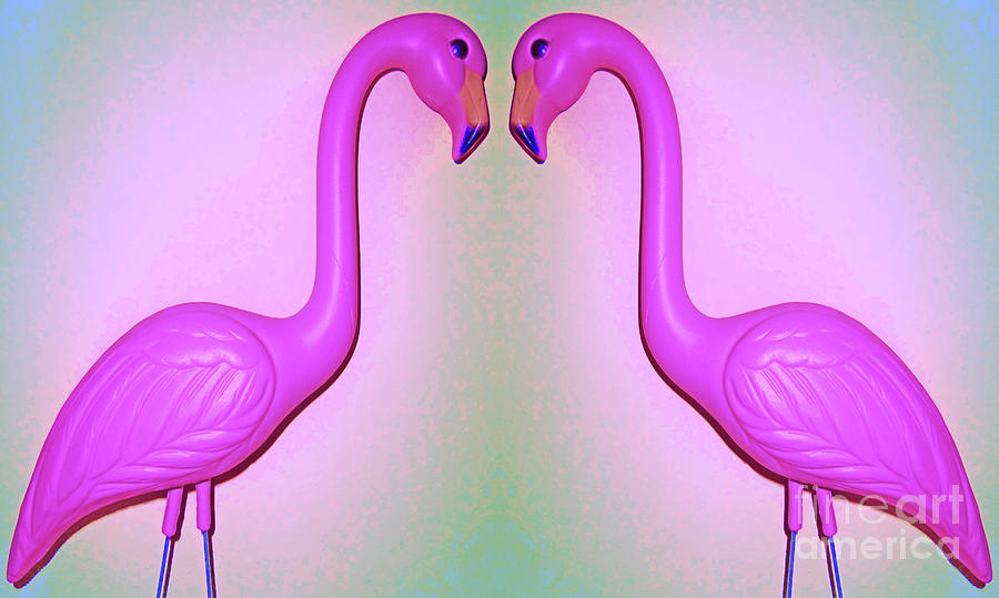 Flamingos Times Two Photograph by Randall Weidner