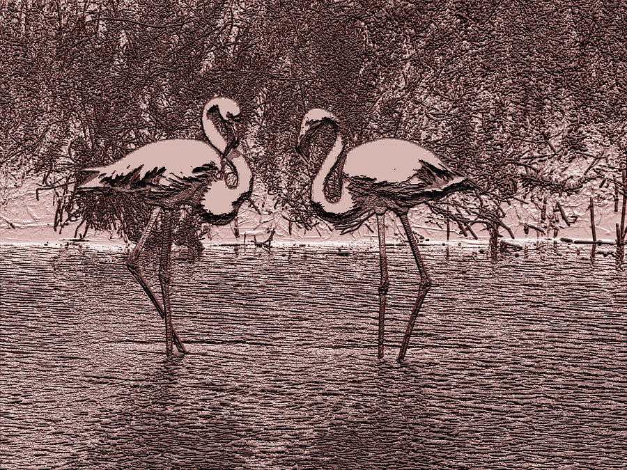 Flamingos_embosed Photograph by Manuela Constantin