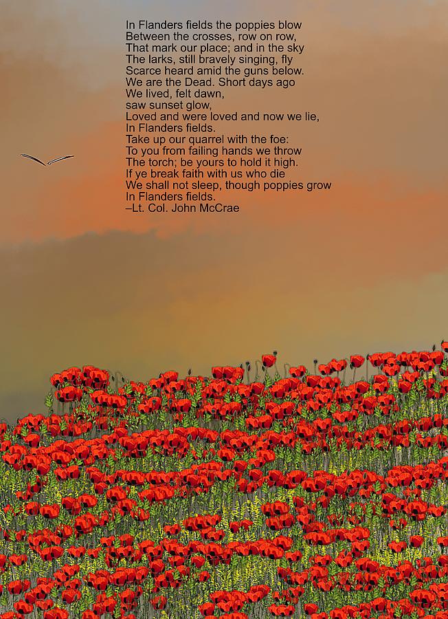 Flanders Field Digital Art by David Lane