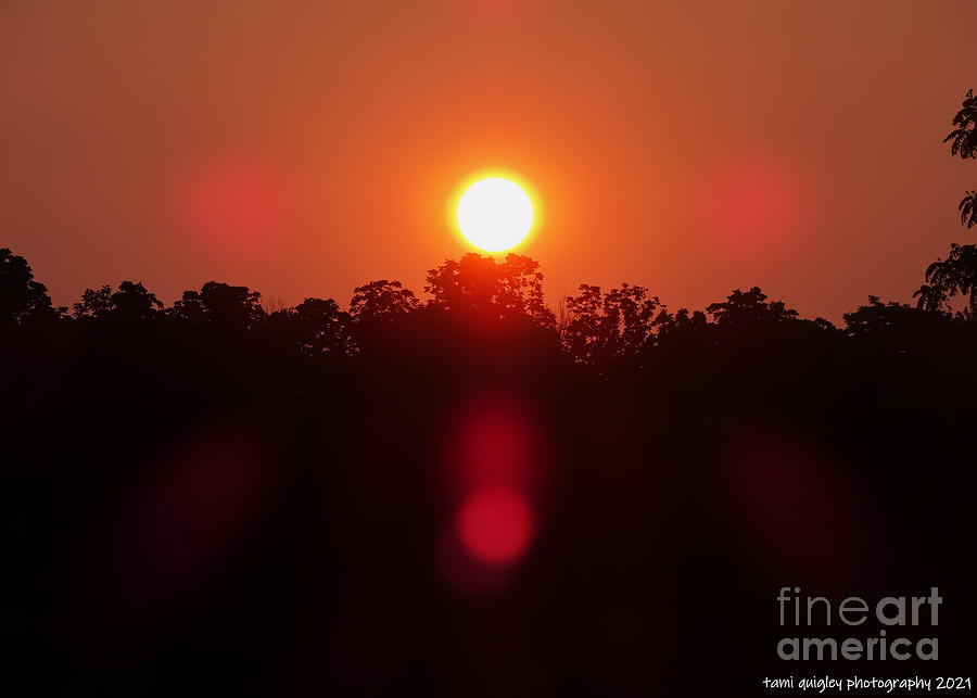 Flares Of A Mad Orange Sunset Photograph by Tami Quigley