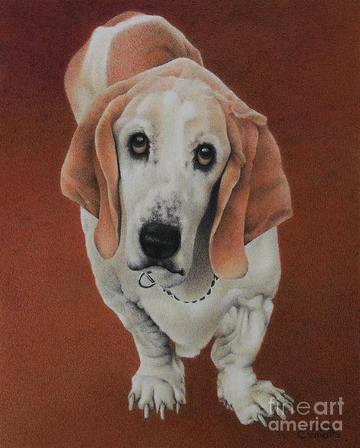 Dog Drawing - Flash by Pamela Clements